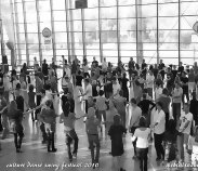 culture_danse_swing_festival009055.jpg