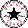 culture_danse_swing_festival_2013005024.jpg